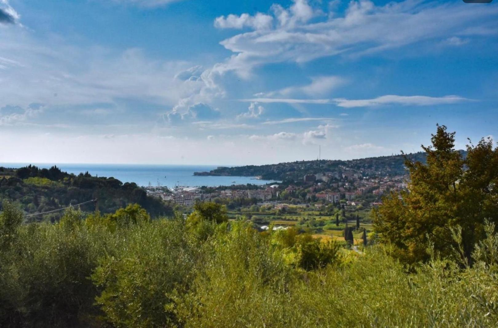 Apartma Med Oljkami Spodnji Portorož Extérieur photo